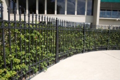 Fence with spear head pickets