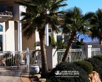 belly pickets patio rail
